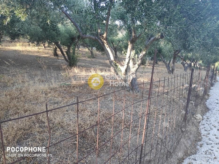 Αγροτεμάχιο στην Κερασιά, Τετραχώρι — Φωτογραφία 7 από 24