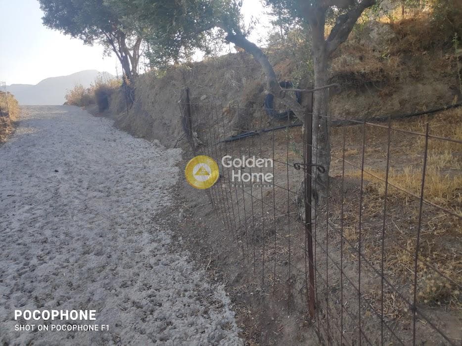 Αγροτεμάχιο στην Κερασιά, Τετραχώρι — Φωτογραφία 8 από 24