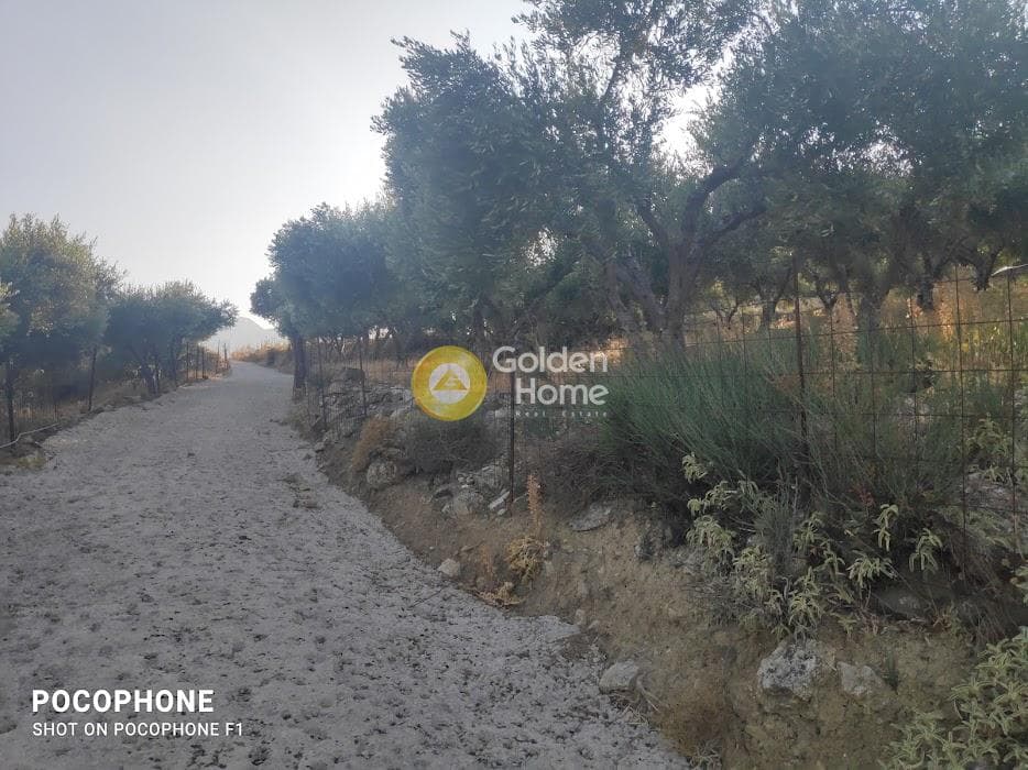 Αγροτεμάχιο στην Κερασιά, Τετραχώρι — Φωτογραφία 11 από 24