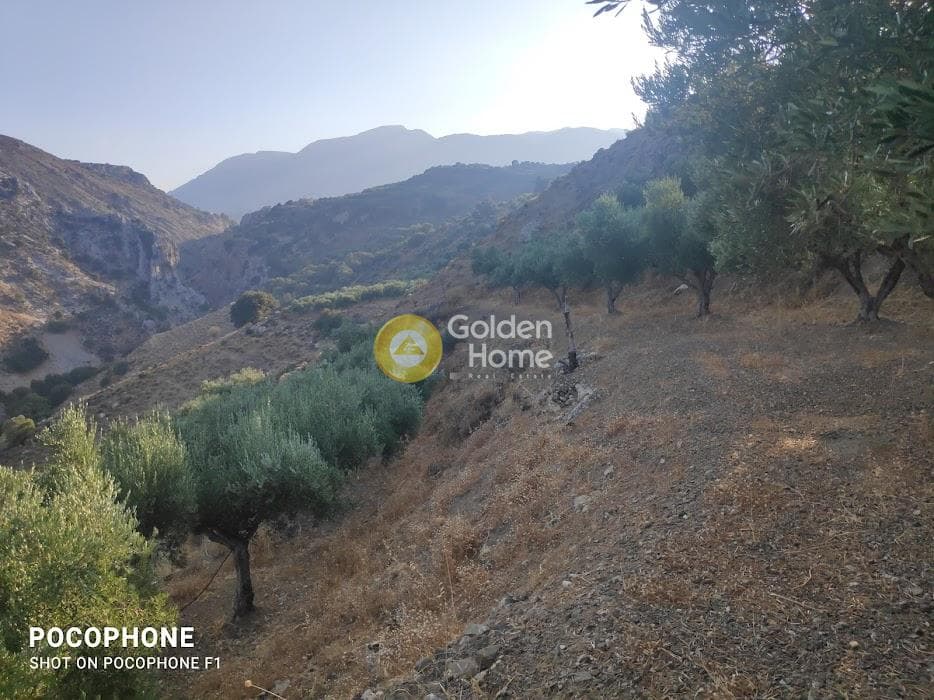 Αγροτεμάχιο στην Κερασιά, Τετραχώρι — Φωτογραφία 24 από 24