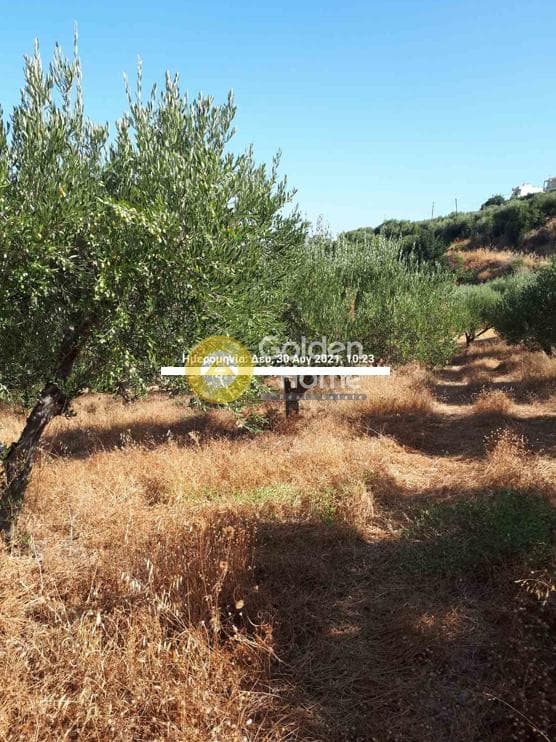Οικόπεδο στην Άγιος Σύλλας, Αρχάνες