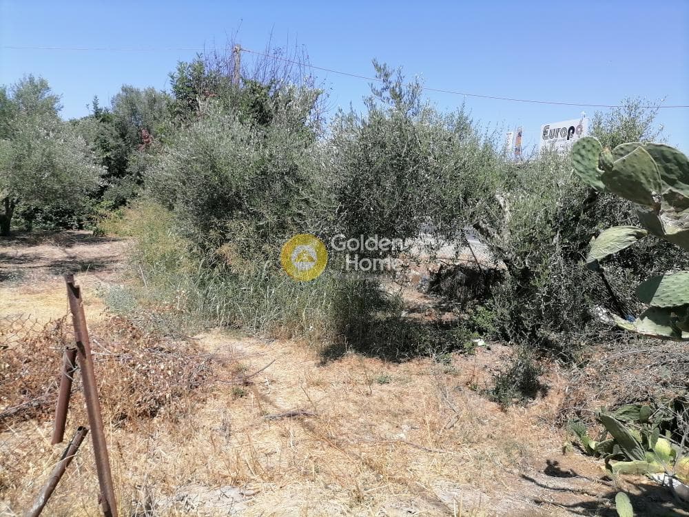 Building Plot in Monochoro, Moires — Photo 1 of 4