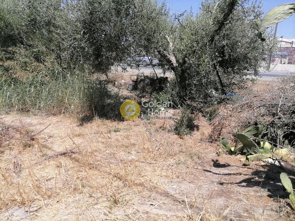 Building Plot in Monochoro, Moires — Photo 3 of 4