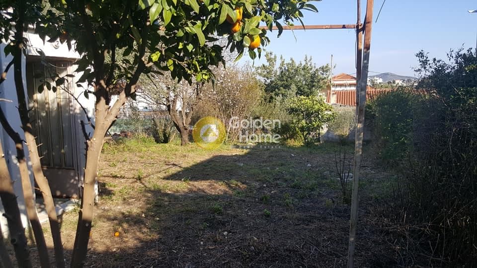Οικόπεδο στην Πόρτο Ράφτη, Βραυρώνα — Φωτογραφία 1 από 10