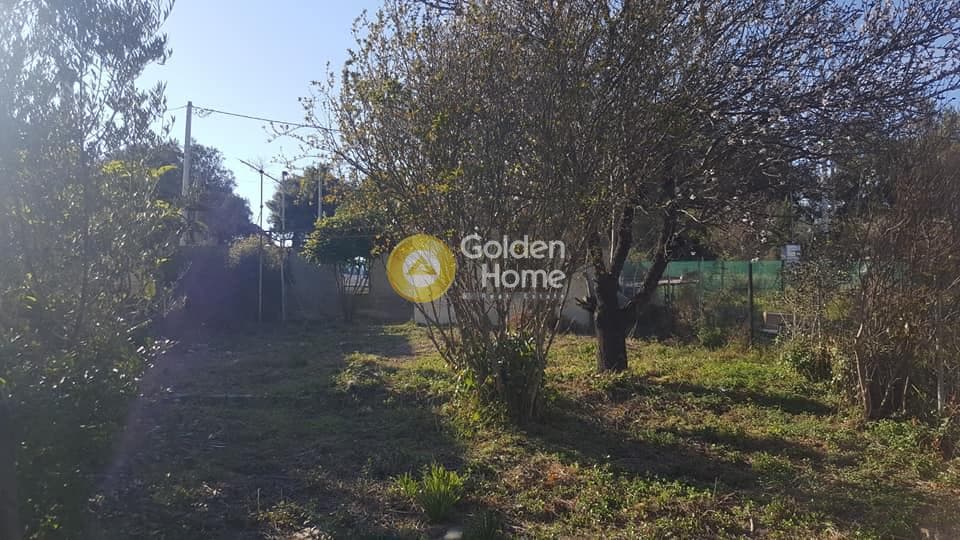 Οικόπεδο στην Πόρτο Ράφτη, Βραυρώνα — Φωτογραφία 9 από 10