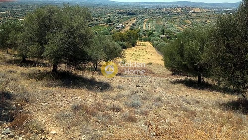 Parcel in Neapoli, Spata — Photo 2 of 3