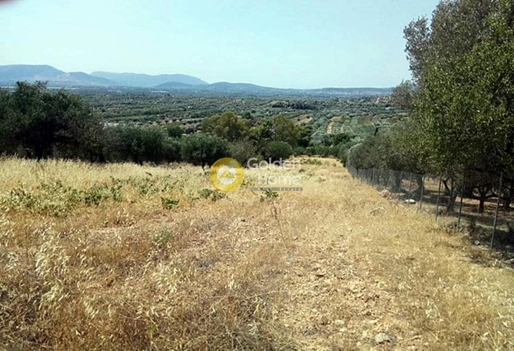 Parcel in Neapoli, Spata — Photo 3 of 3