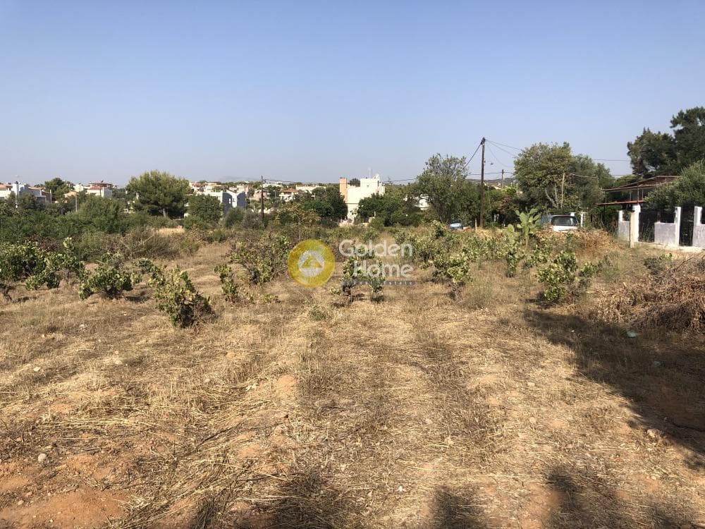 Building Plot in Agios Serafeim, Artemida (Loutsa) — Photo 1 of 12
