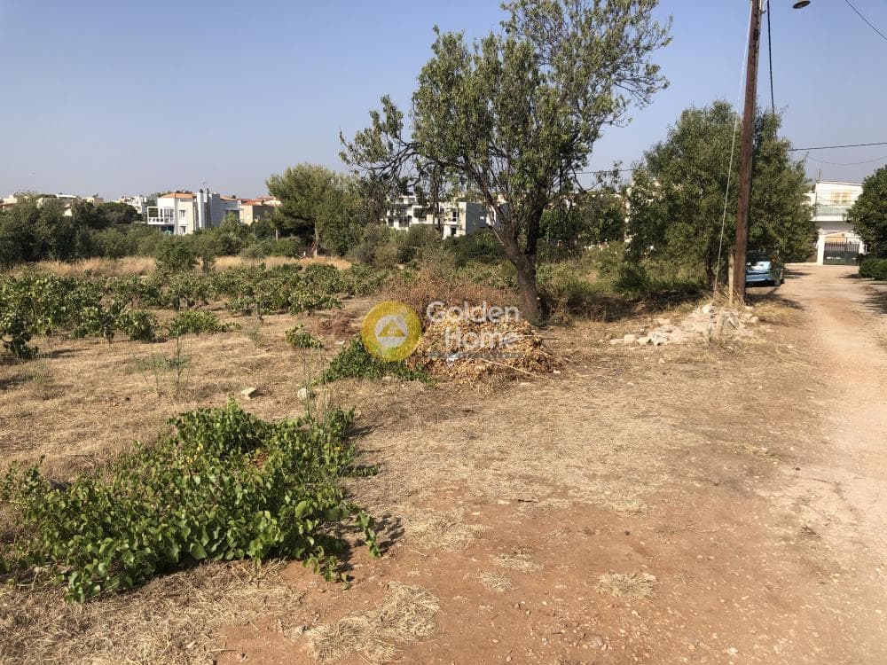 Building Plot in Agios Serafeim, Artemida (Loutsa) — Photo 2 of 12