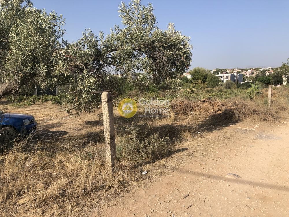 Building Plot in Agios Serafeim, Artemida (Loutsa) — Photo 3 of 12