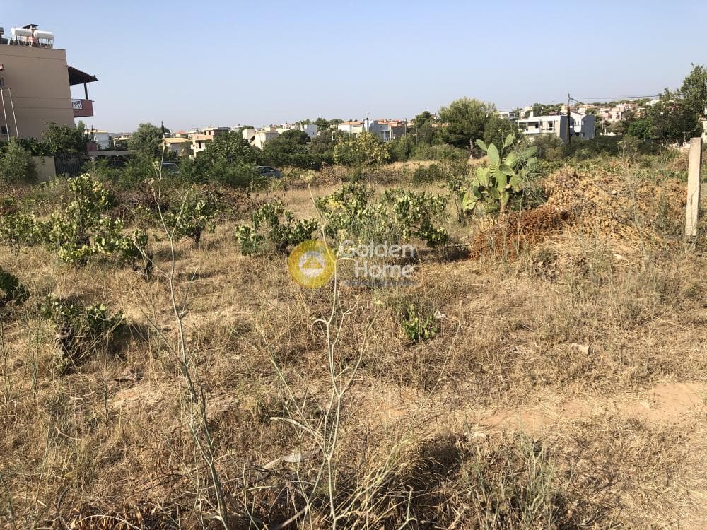 Building Plot in Agios Serafeim, Artemida (Loutsa) — Photo 4 of 12