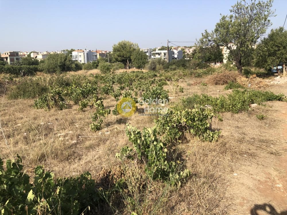 Building Plot in Agios Serafeim, Artemida (Loutsa) — Photo 5 of 12