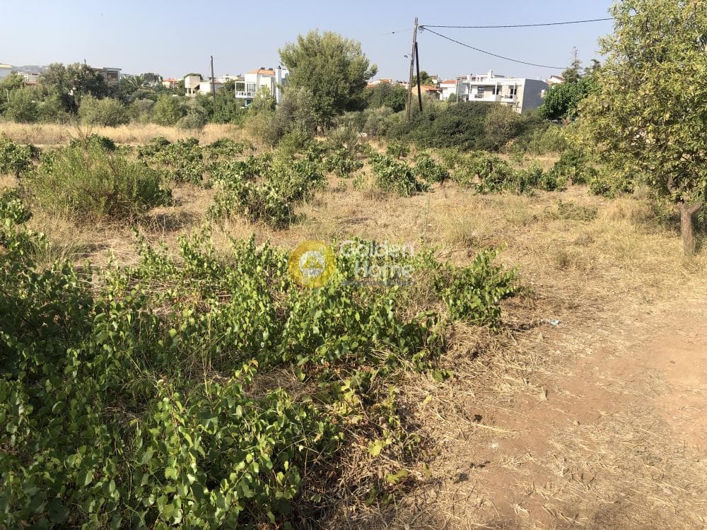 Building Plot in Agios Serafeim, Artemida (Loutsa) — Photo 7 of 12