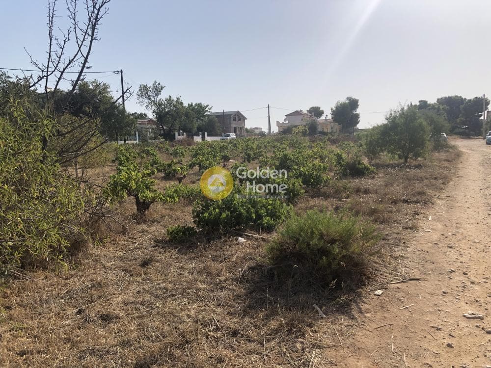 Building Plot in Agios Serafeim, Artemida (Loutsa) — Photo 8 of 12