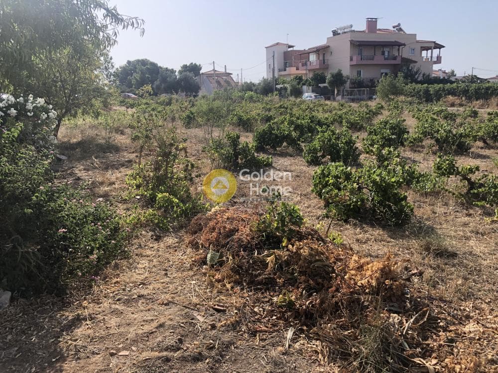 Building Plot in Agios Serafeim, Artemida (Loutsa) — Photo 9 of 12