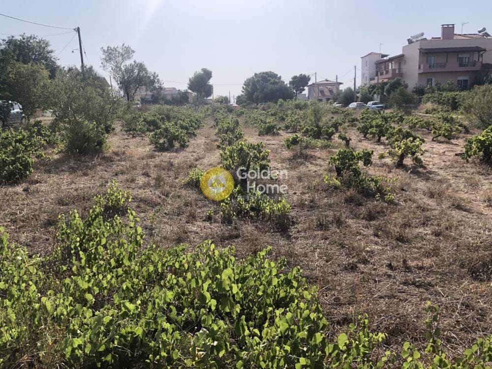 Building Plot in Agios Serafeim, Artemida (Loutsa) — Photo 10 of 12