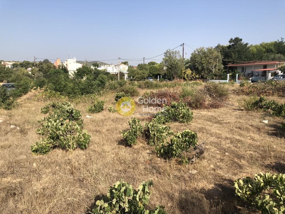 Building Plot in Agios Serafeim, Artemida (Loutsa) — Photo 11 of 12