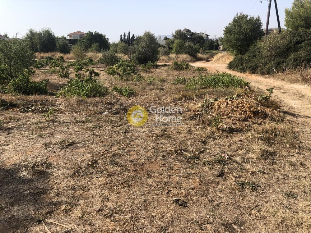 Building Plot in Agios Serafeim, Artemida (Loutsa) — Photo 12 of 12