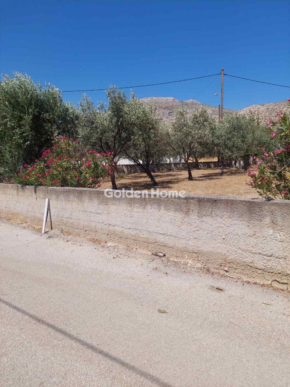 Parcel in Agios Panteleimonas, Anavissos — Photo 2 of 7