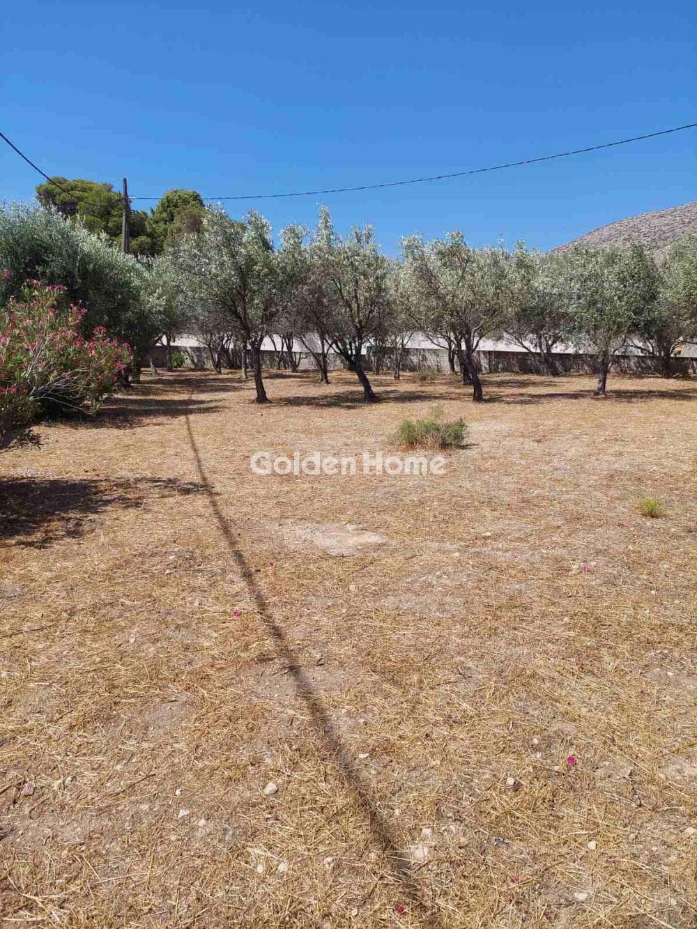 Parcel in Agios Panteleimonas, Anavissos — Photo 4 of 7