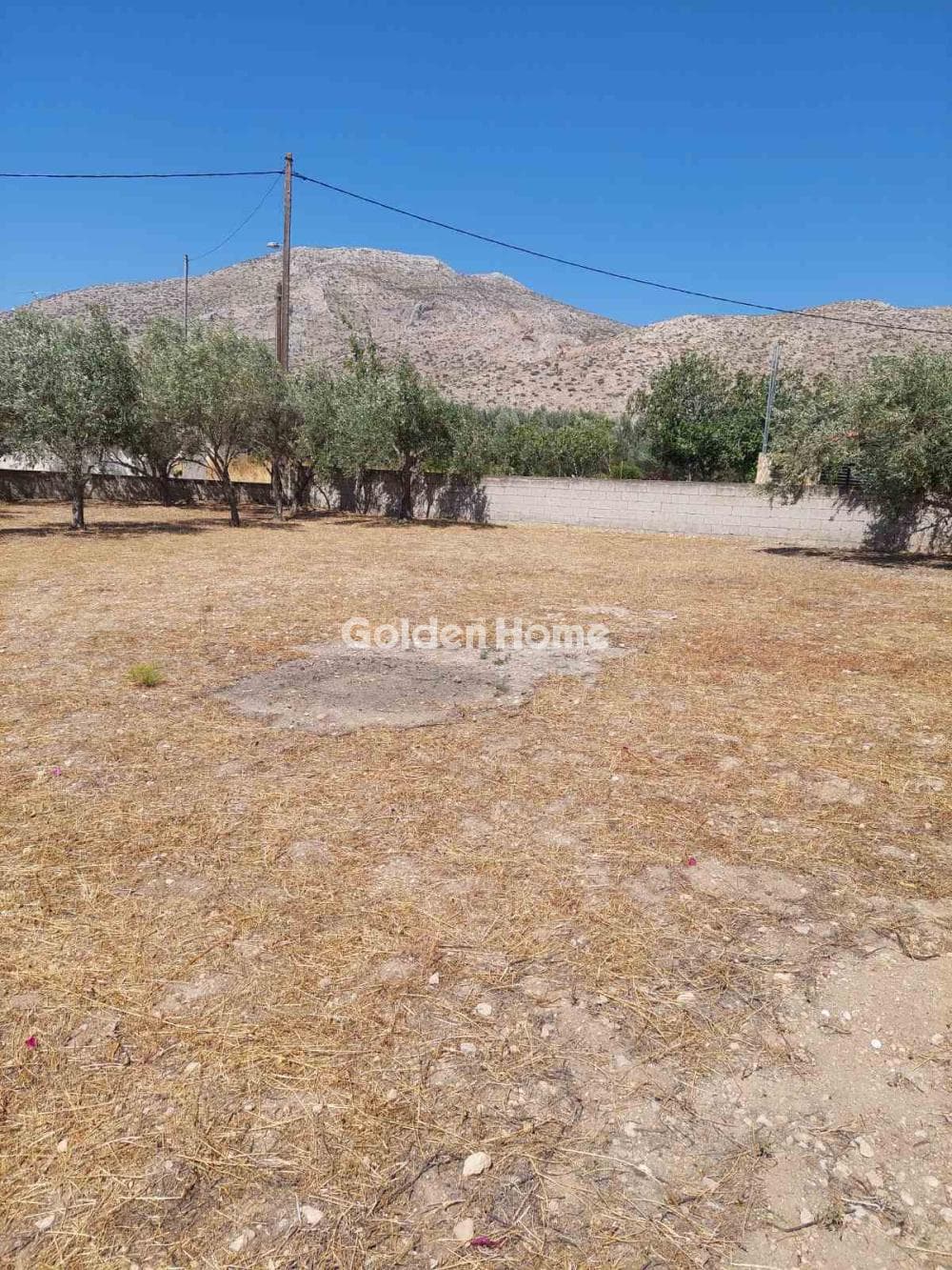 Parcel in Agios Panteleimonas, Anavissos — Photo 5 of 7