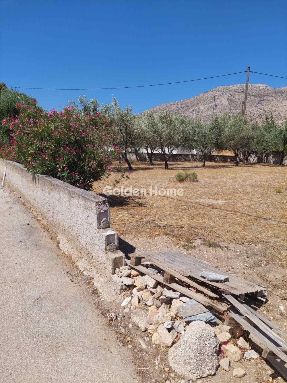 Parcel in Agios Panteleimonas, Anavissos — Photo 7 of 7