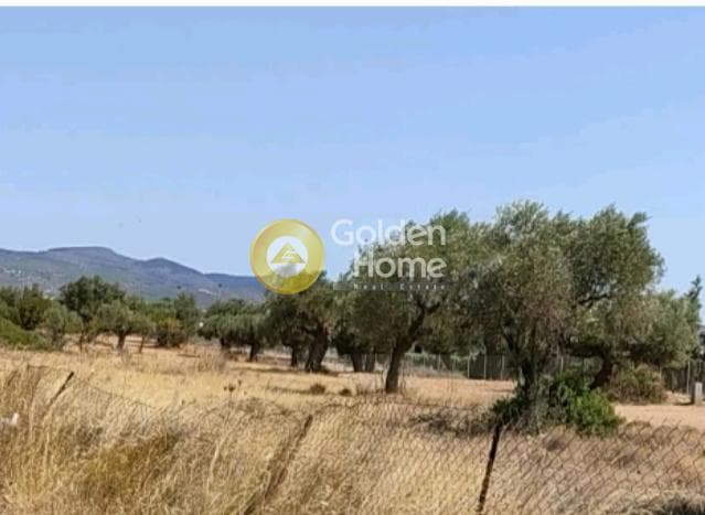 Building Plot in Kalivia, Kalivia Thorikou — Photo 1 of 5
