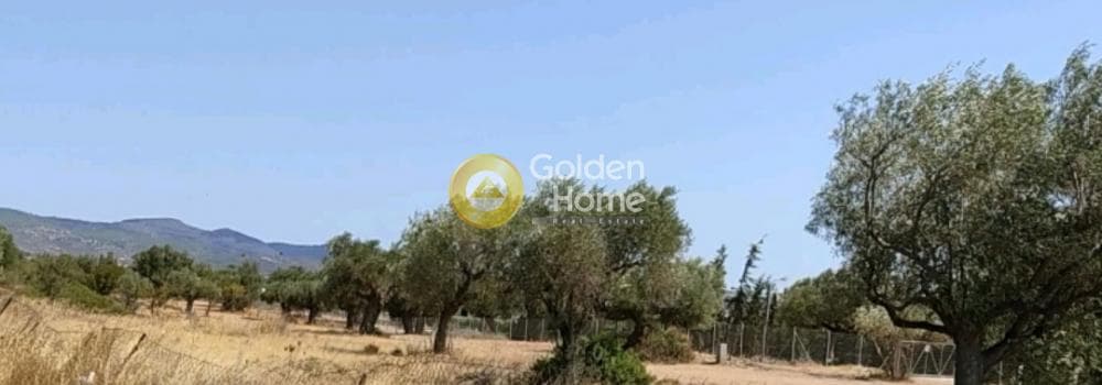 Building Plot in Kalivia, Kalivia Thorikou — Photo 5 of 5