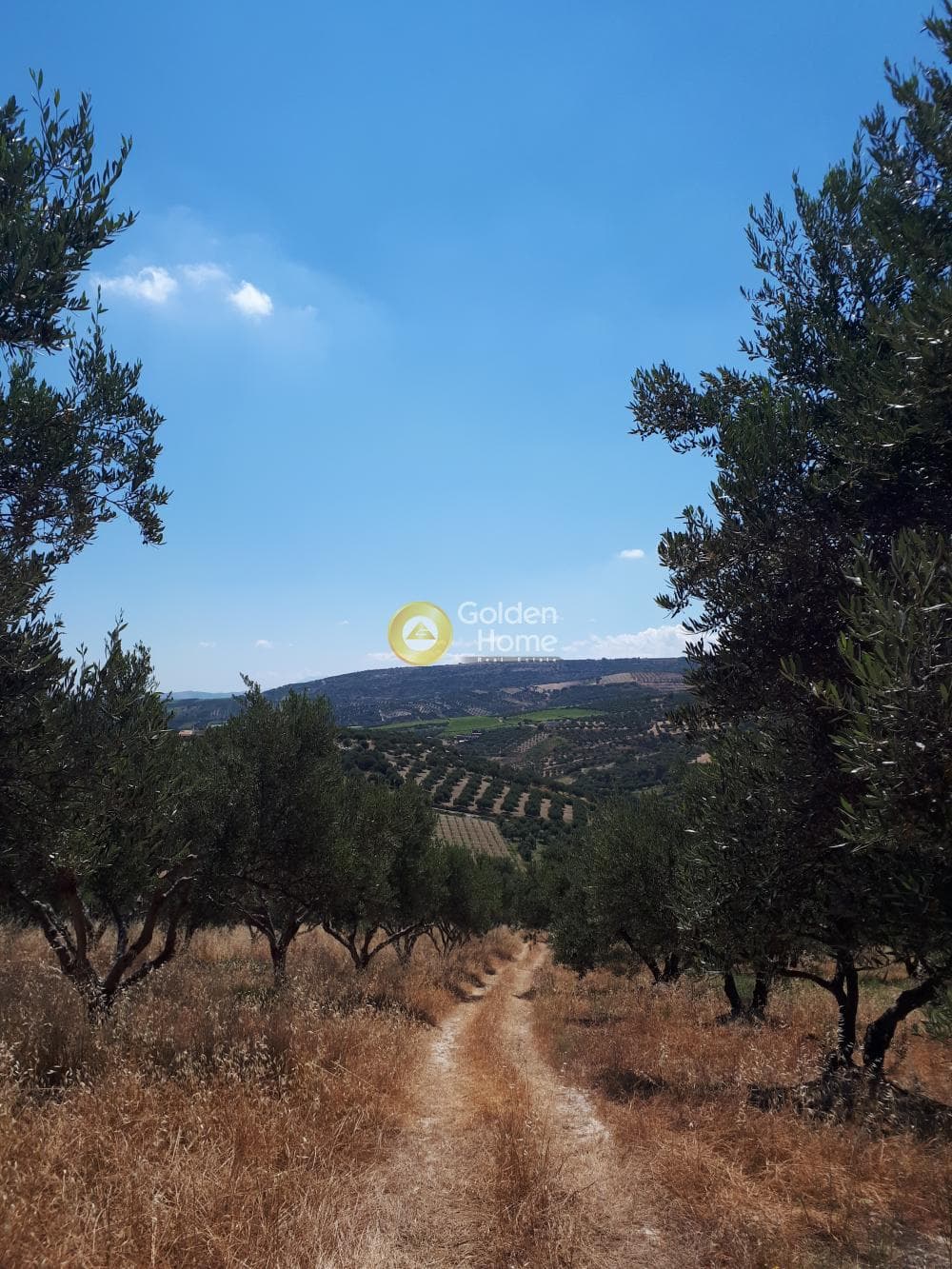 Οικόπεδο στην Βασιλείες, Αρχάνες — Φωτογραφία 1 από 15