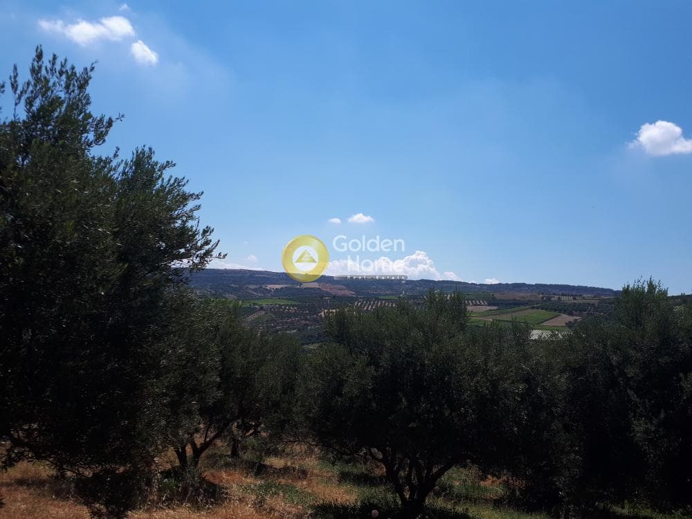 Οικόπεδο στην Βασιλείες, Αρχάνες — Φωτογραφία 2 από 15