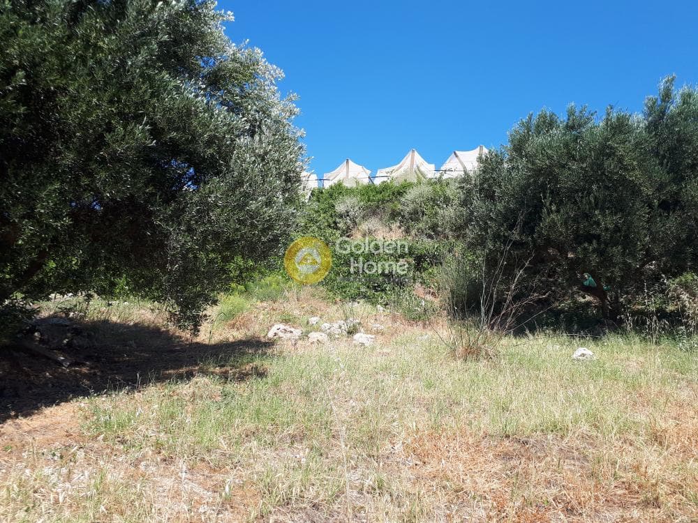 Οικόπεδο στην Βασιλείες, Αρχάνες — Φωτογραφία 5 από 15
