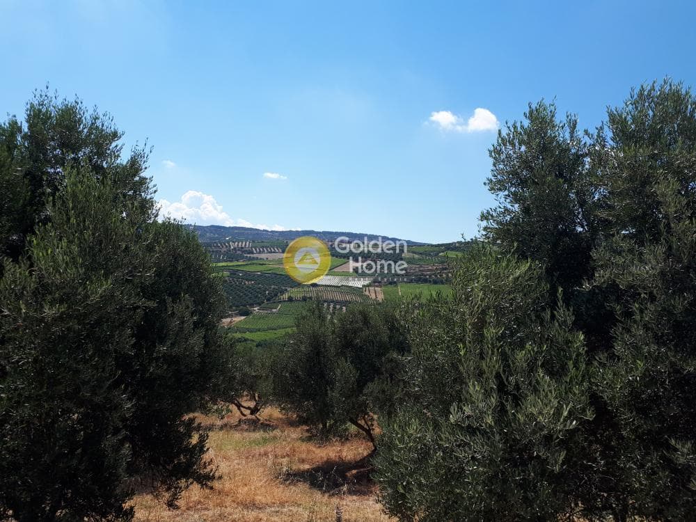 Οικόπεδο στην Βασιλείες, Αρχάνες — Φωτογραφία 7 από 15