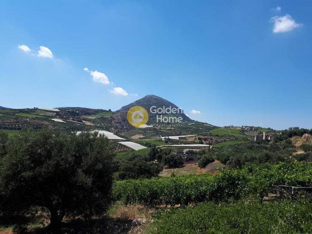 Οικόπεδο στην Βασιλείες, Αρχάνες — Φωτογραφία 9 από 15