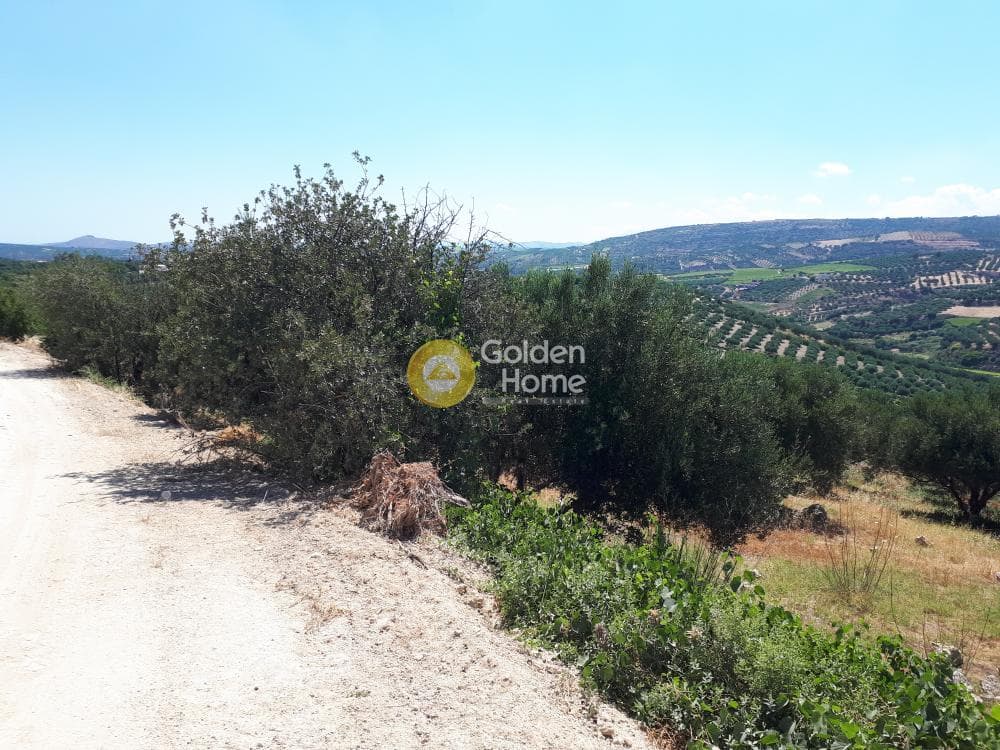 Οικόπεδο στην Βασιλείες, Αρχάνες — Φωτογραφία 12 από 15