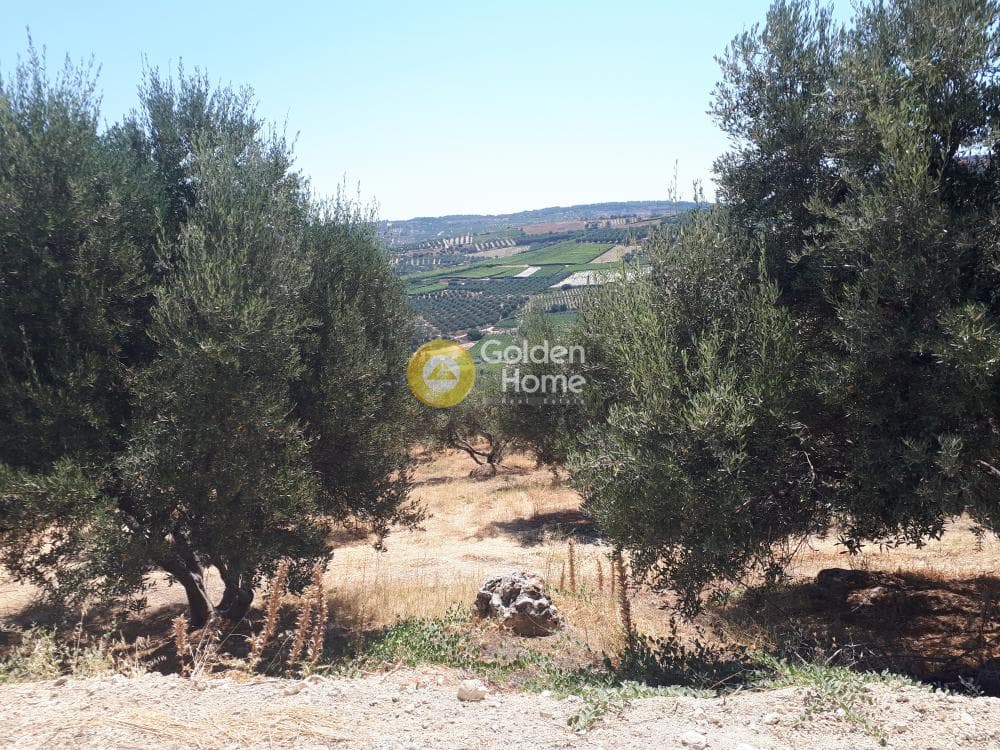 Οικόπεδο στην Βασιλείες, Αρχάνες — Φωτογραφία 14 από 15