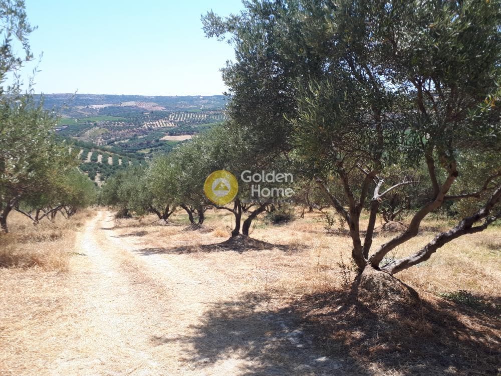 Οικόπεδο στην Βασιλείες, Αρχάνες — Φωτογραφία 15 από 15