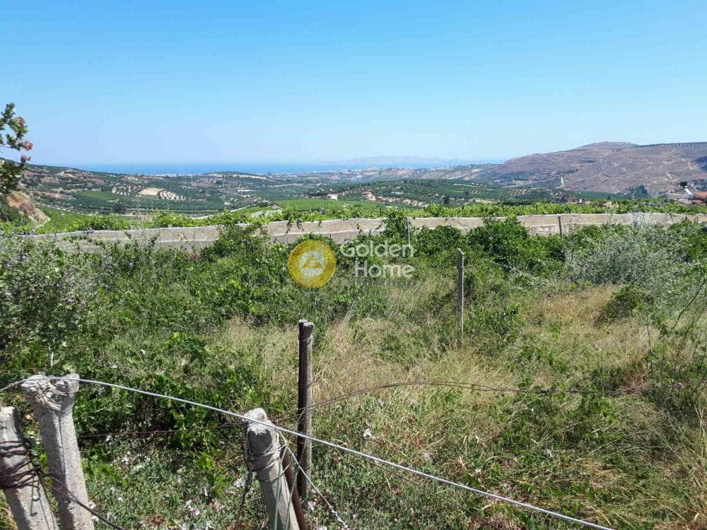 Οικόπεδο στην Αγία Ειρήνη, Αρχάνες — Φωτογραφία 4 από 11