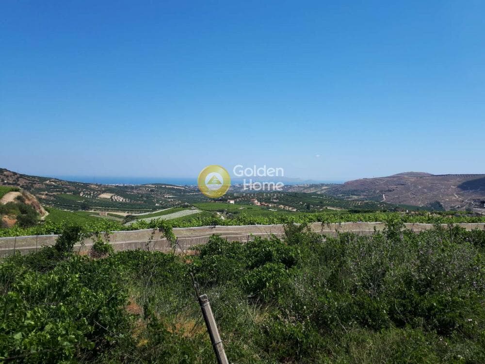 Οικόπεδο στην Αγία Ειρήνη, Αρχάνες — Φωτογραφία 1 από 11