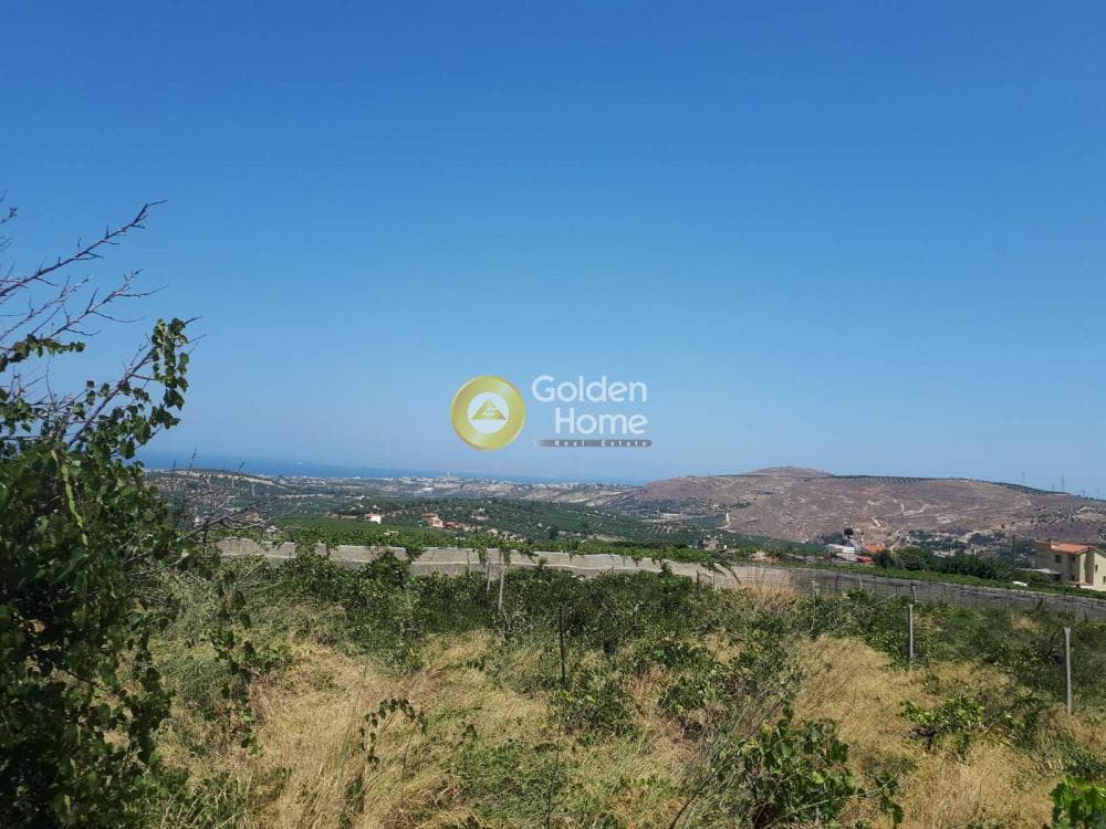 Οικόπεδο στην Αγία Ειρήνη, Αρχάνες — Φωτογραφία 8 από 11