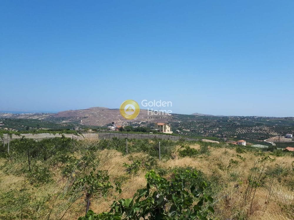 Οικόπεδο στην Αγία Ειρήνη, Αρχάνες — Φωτογραφία 9 από 11