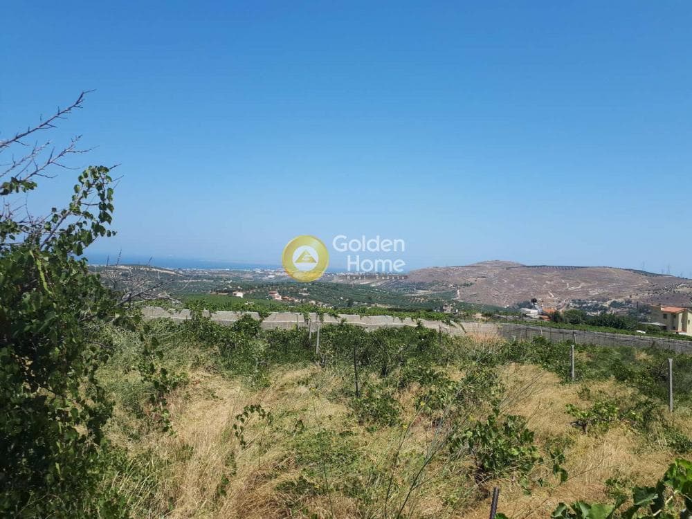 Οικόπεδο στην Αγία Ειρήνη, Αρχάνες — Φωτογραφία 10 από 11