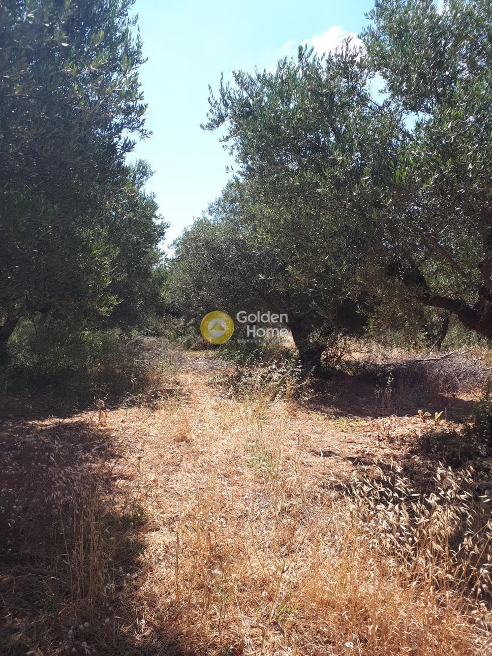 Αγροτεμάχιο στην Επάνω Αρχάνες, Αρχάνες — Φωτογραφία 9 από 9