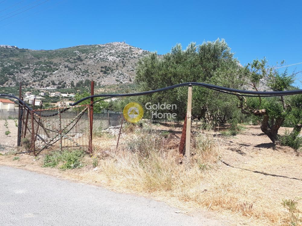 Αγροτεμάχιο στην Επάνω Αρχάνες, Αρχάνες — Φωτογραφία 1 από 9