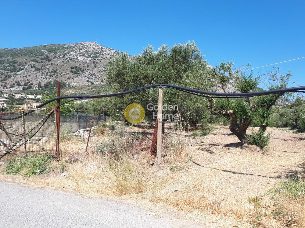 Αγροτεμάχιο στην Επάνω Αρχάνες, Αρχάνες — Φωτογραφία 2 από 9