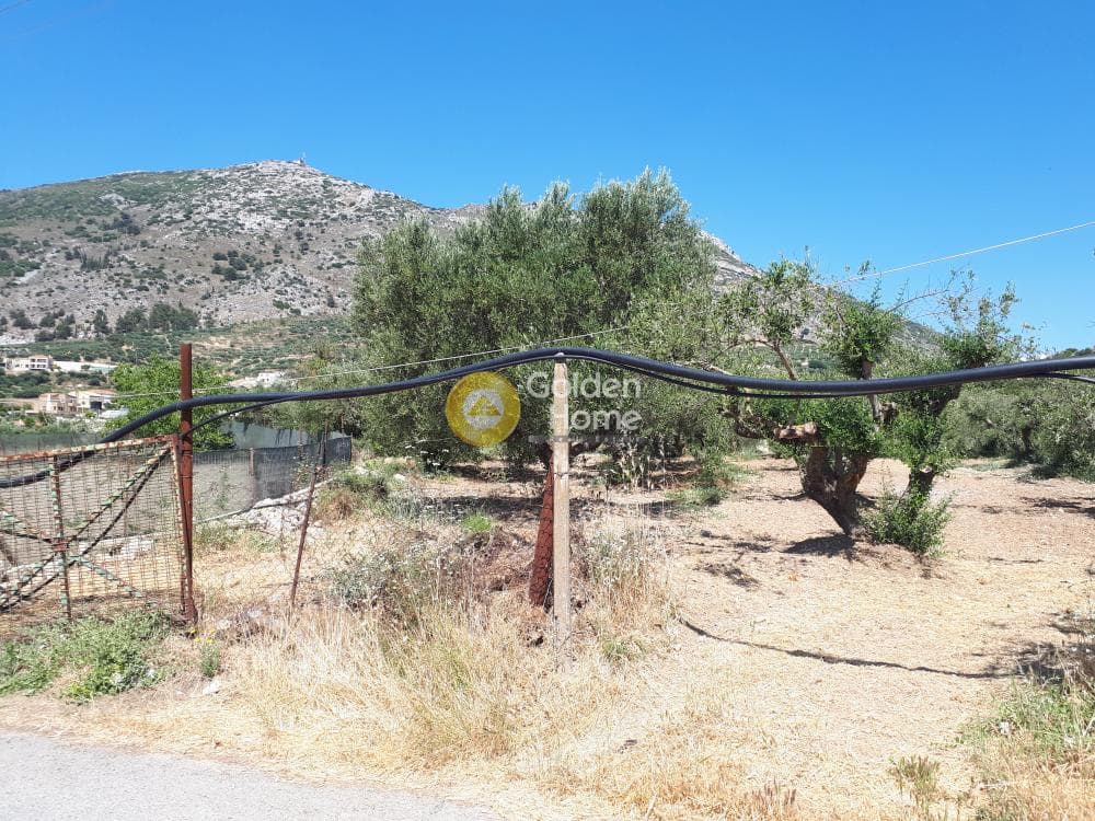 Αγροτεμάχιο στην Επάνω Αρχάνες, Αρχάνες — Φωτογραφία 3 από 9