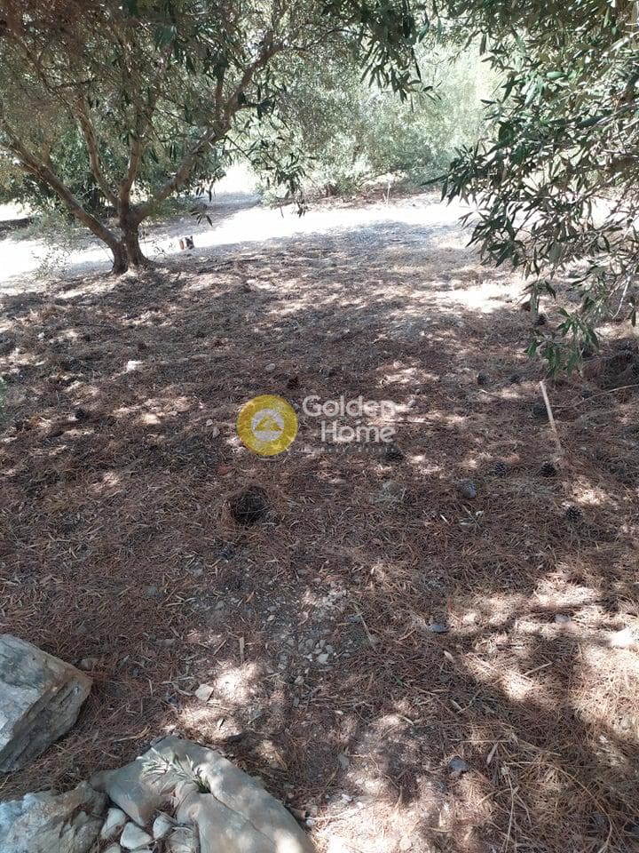 Building Plot in Pantanassa, Gazi — Photo 1 of 21