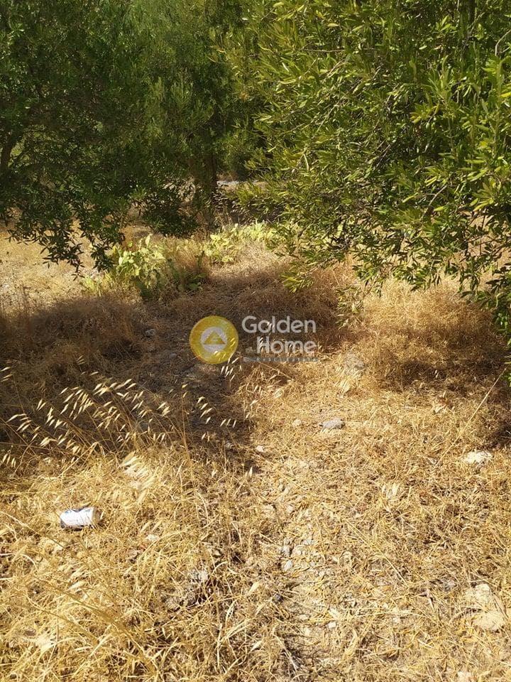 Building Plot in Pantanassa, Gazi — Photo 2 of 21