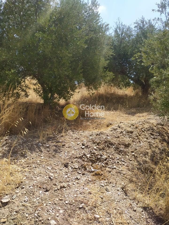 Building Plot in Pantanassa, Gazi — Photo 4 of 21