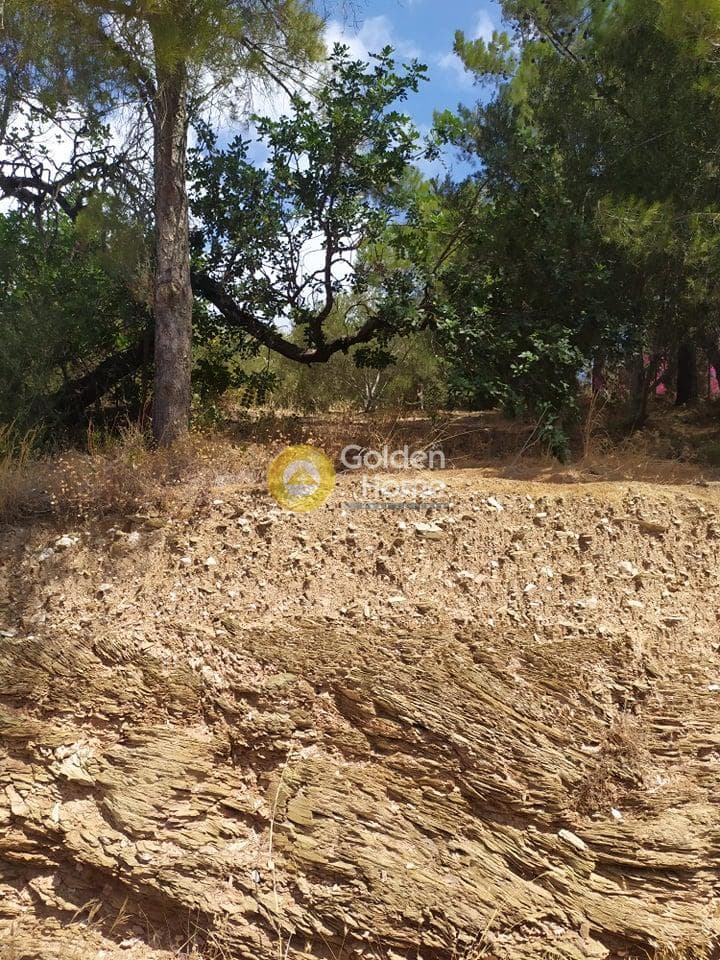 Building Plot in Pantanassa, Gazi — Photo 14 of 21