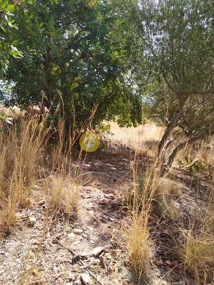 Building Plot in Pantanassa, Gazi — Photo 17 of 21